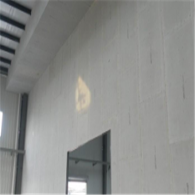 颍上宁波ALC板|EPS加气板隔墙与混凝土整浇联接的实验研讨